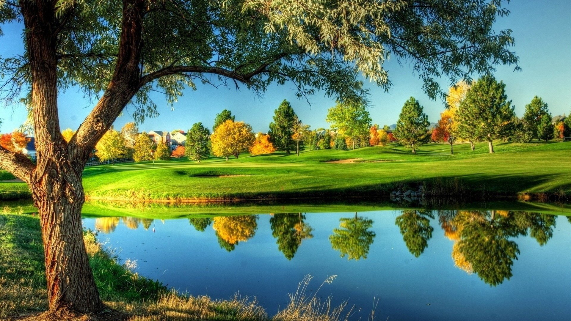 lac ciel herbe arbres