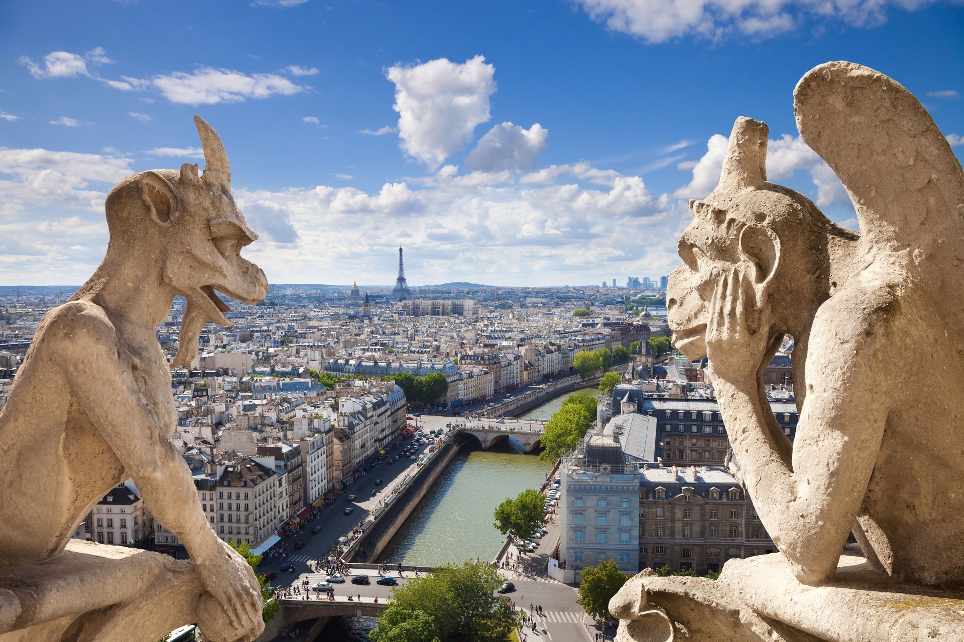 notre-dame de paris francia notre-dame de paris scena città vista panorama gargoyle gotico architettura