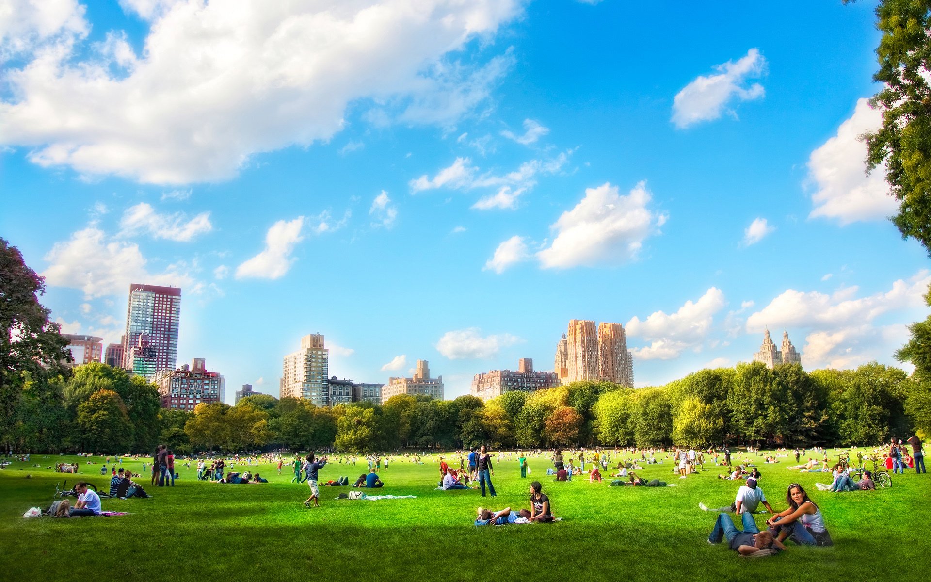 new york house buildings park people grass sports nature the field lawn tree green blue sky clouds of the output mood the company entertainment games soothe happiness of mind serenity