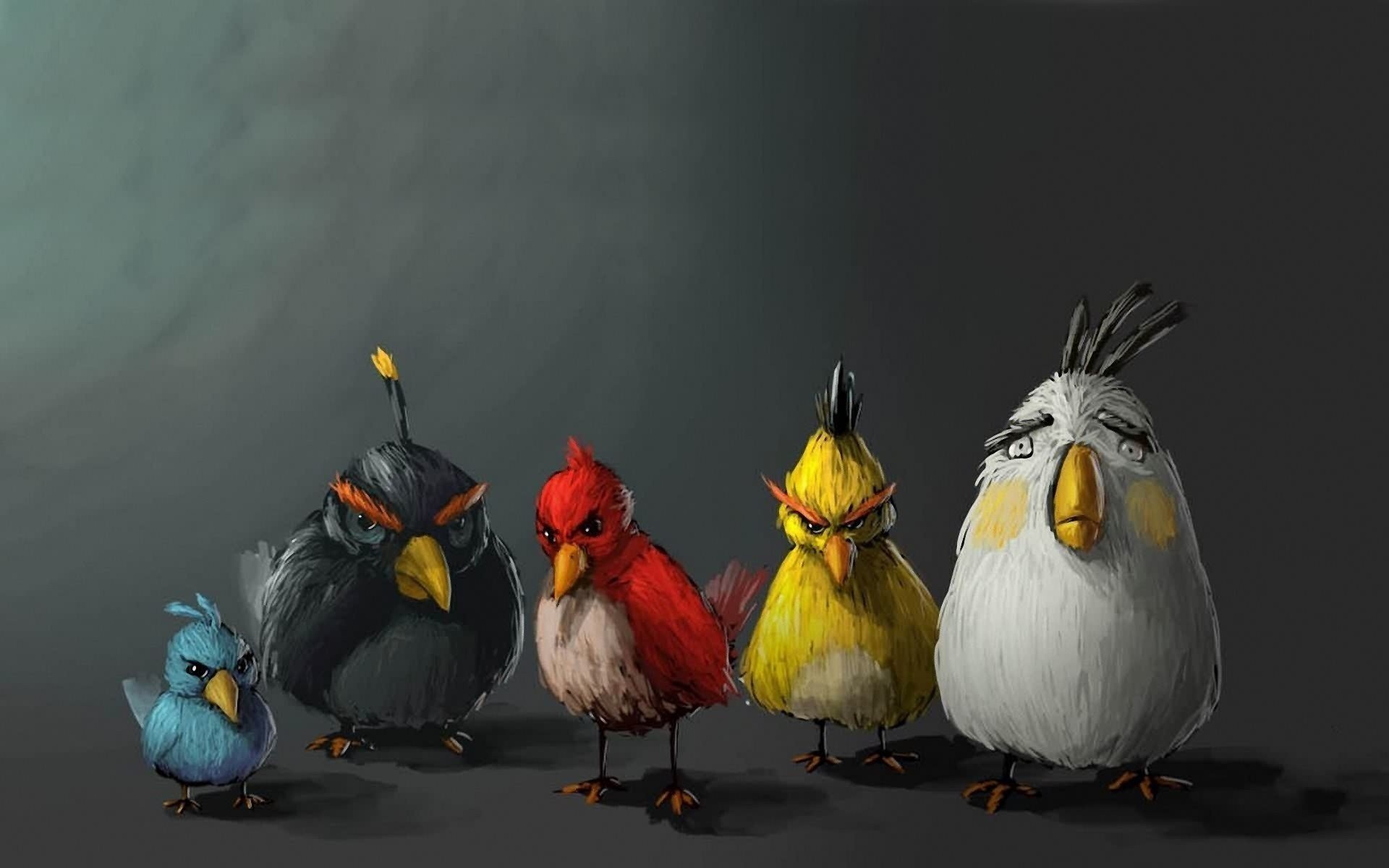 minimalizm birds ptaki angry