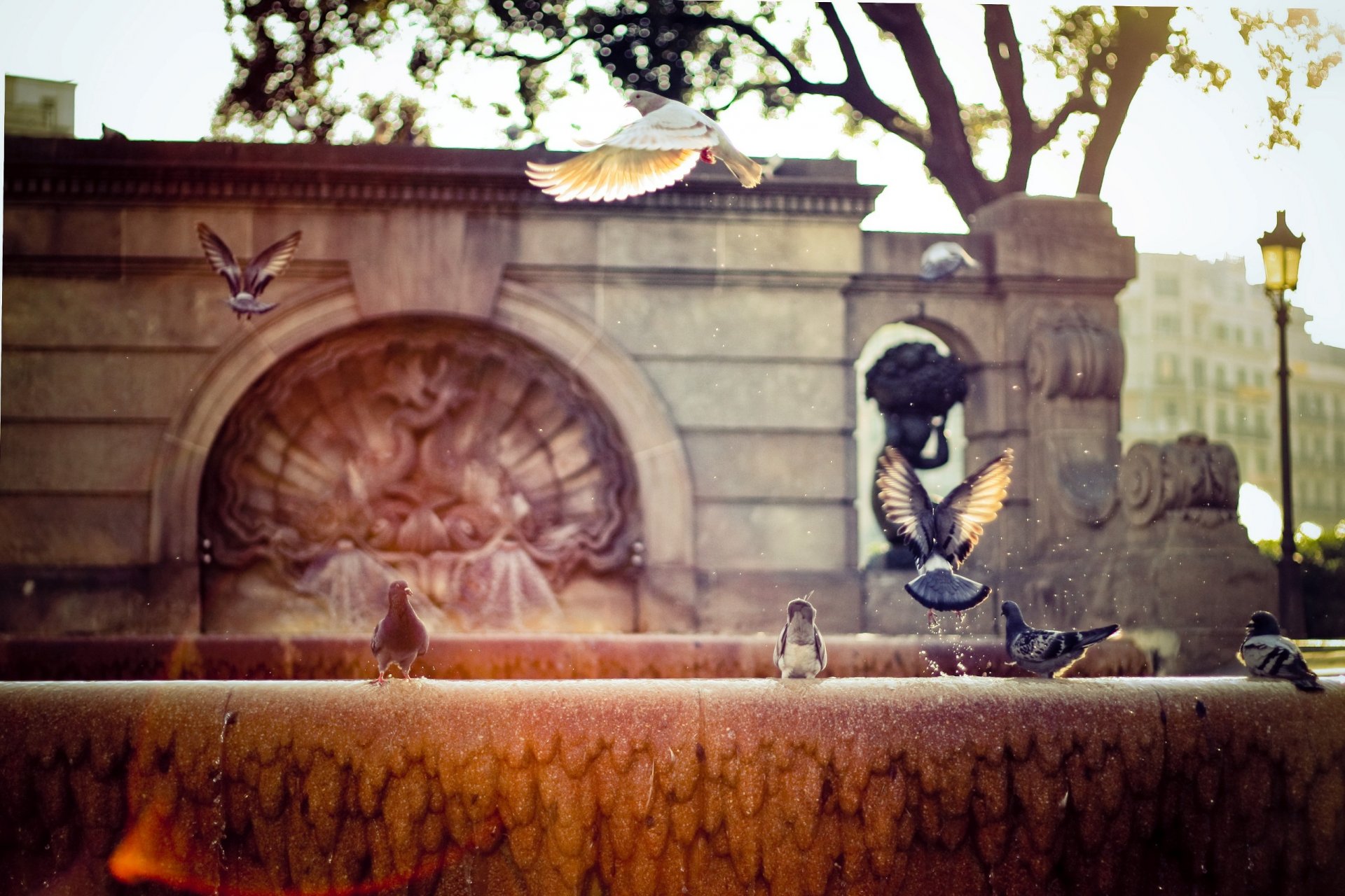 pain town barcelona fountain street sun rays blue