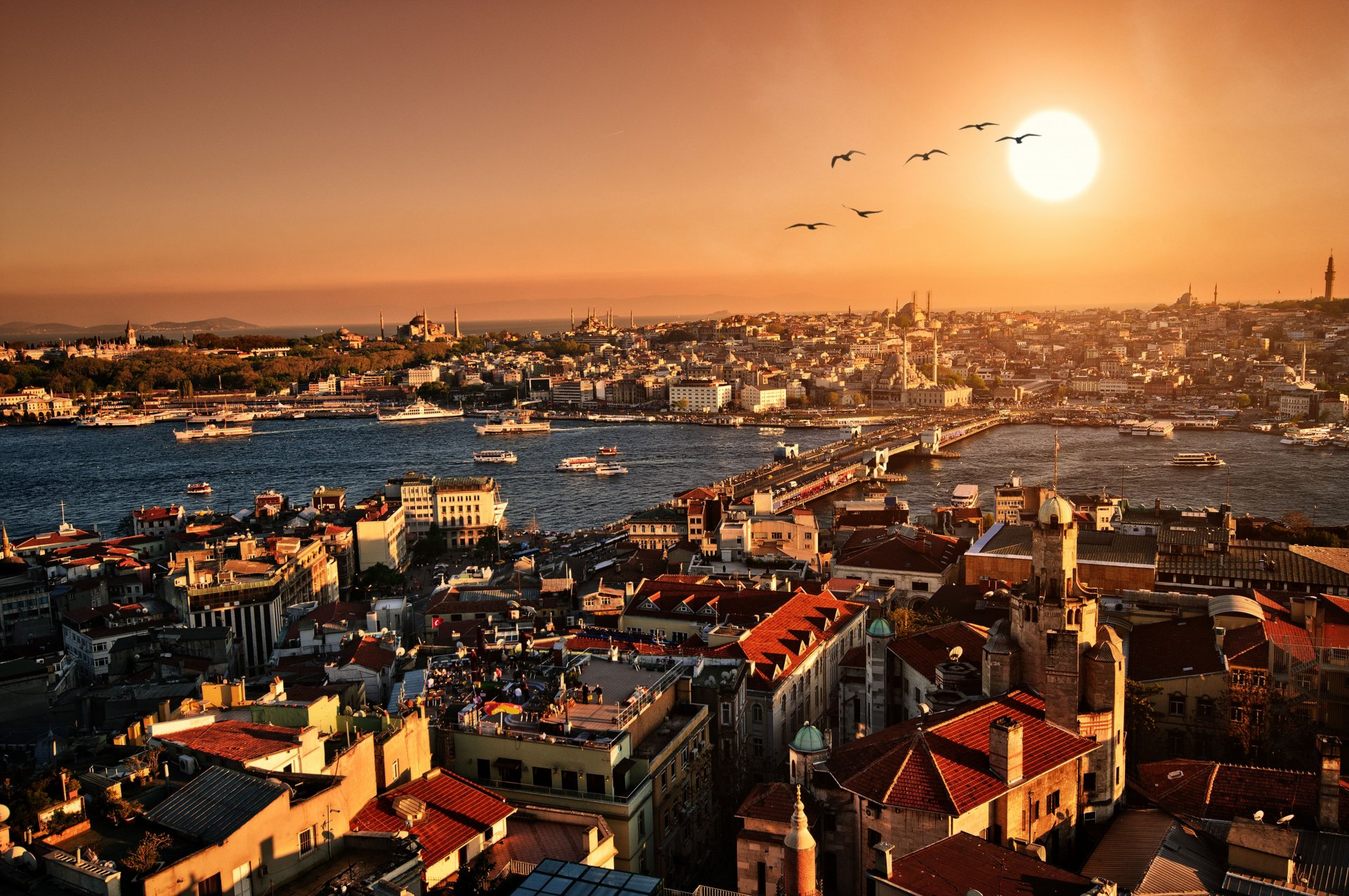 turquía estambul ciudad paisaje puesta de sol noche panorama edificios arquitectura