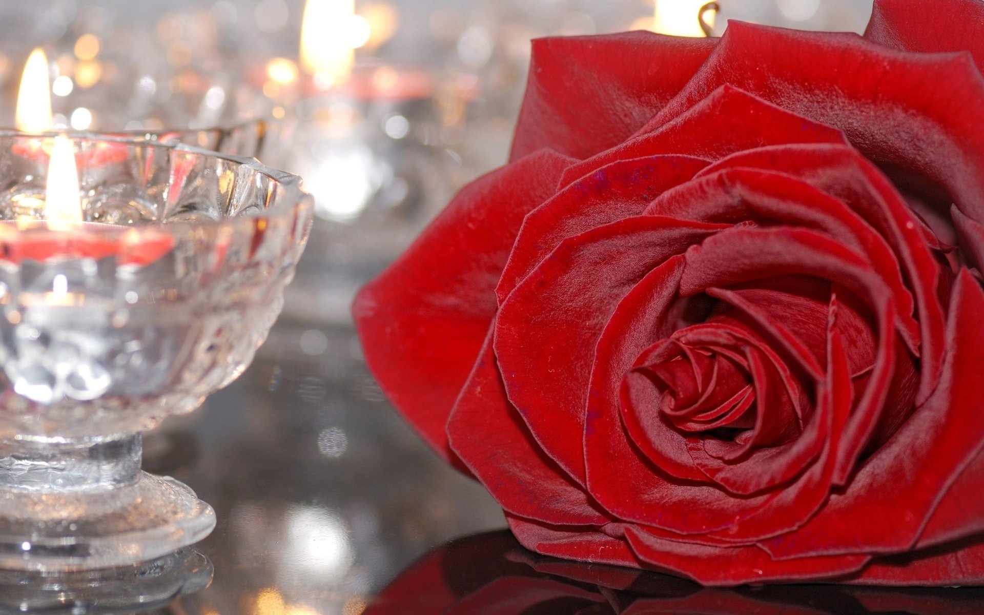 flower rose burgundy glass candle holder candle