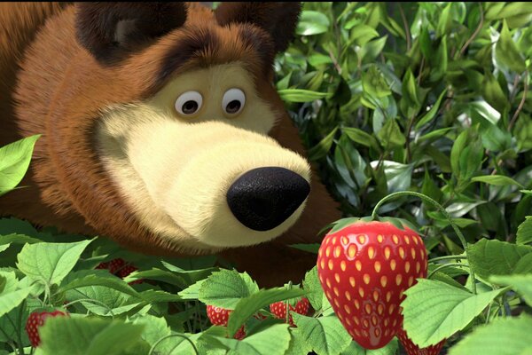 Masha and the bear. A bear with a berry. Strawberries in the forest