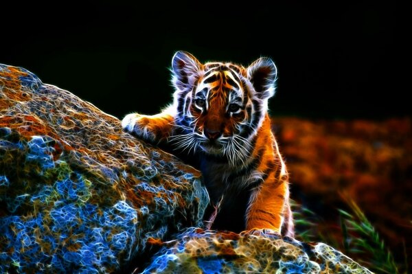 Kleines süßes Tigerbaby auf farbigem Hintergrund