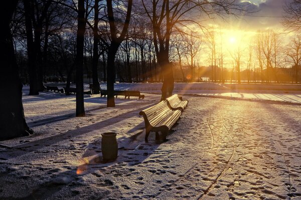 Amanecer en el parque de nieve de invierno