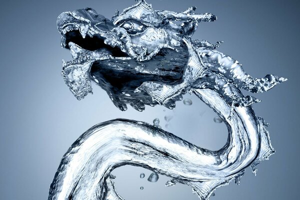 Abstrait dragon d eau sur fond gris