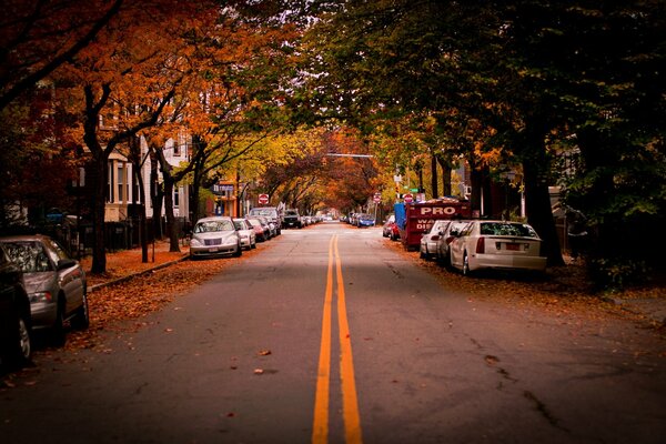 Herbststraße in den USA