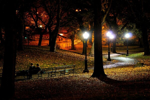 Autumn Park in New York at night