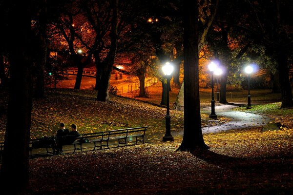 Autumn park a New York di notte