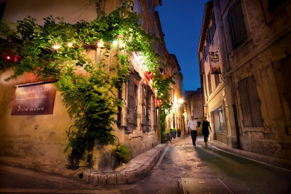 Francia chicos noche Provenza flores