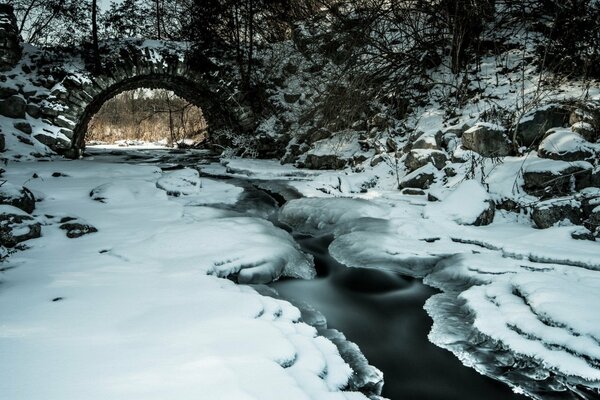 Dégel d hiver dans la forêt près du ruisseau