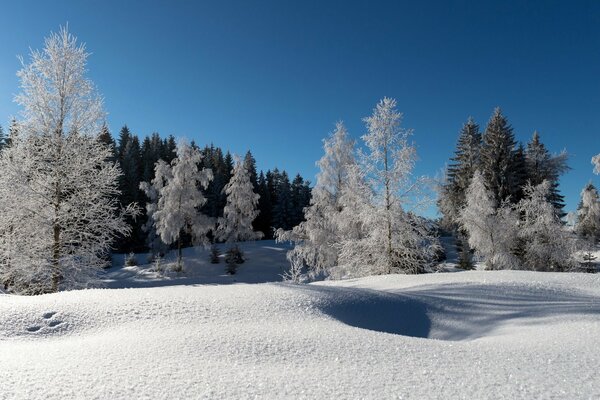 Frost und Sonne, ein wunderbarer Tag