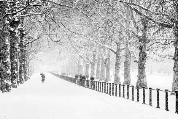 Ein ruhiger Winterboulevard mit einem einsamen Reisenden