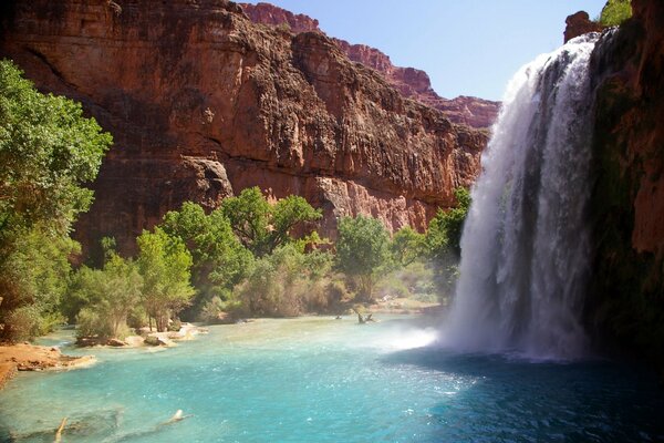 Beautiful waterfall. Wildlife