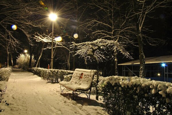 Bench in the snow in the evening winter
