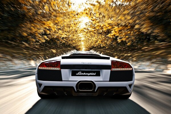 Lamborghini murcielago LP640 pędzi z prędkością światła jesienią