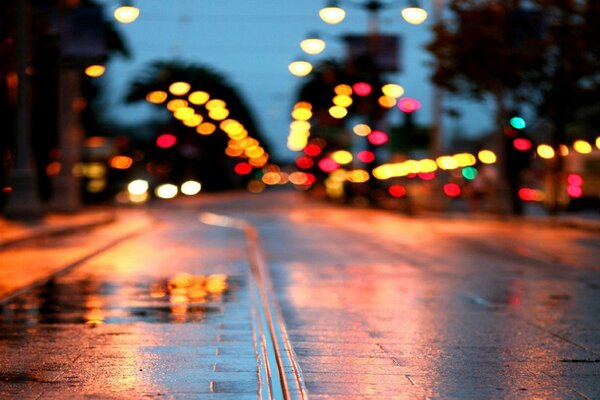 Fights, macro, road in glare