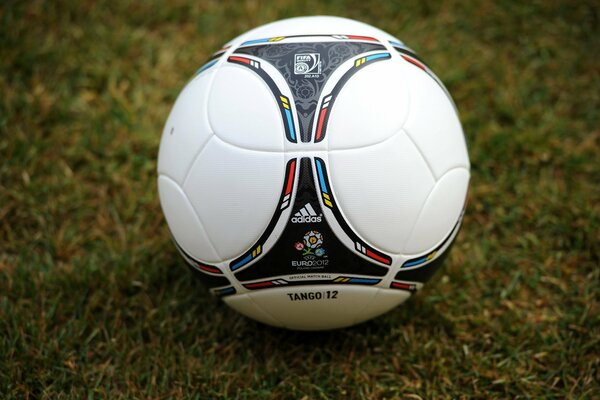 Pallone da calcio con EURO 2012