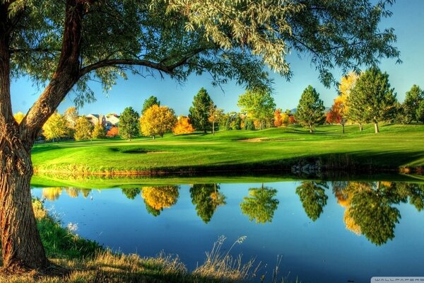 Bright landscape with smooth water and greenery