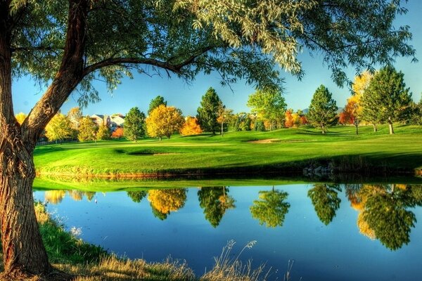 Nature lac ciel herbe arbres