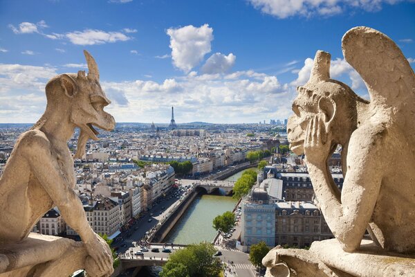 Architektonische Gotik des Wasserspeiers- Blick auf die Stadt in Frankreich