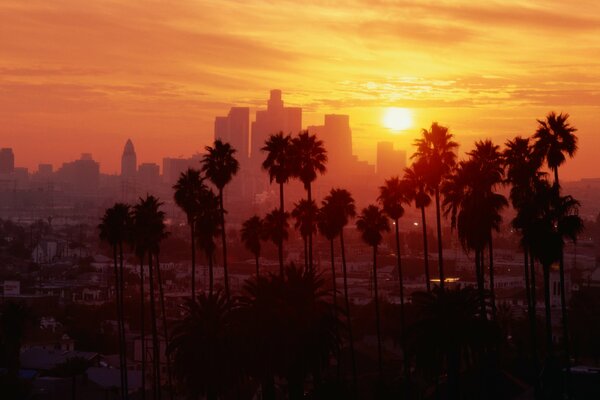 Sonnenuntergang in den USA in Los Angeles