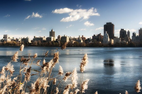 Nowojorski Central Park nad jeziorem