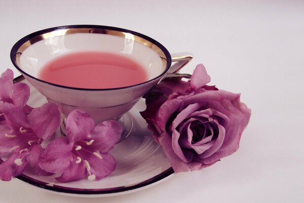 Schöner Nektar aus rosa Rosen