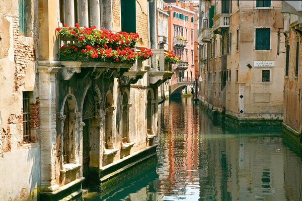 Balcone italiano con fiori rossi