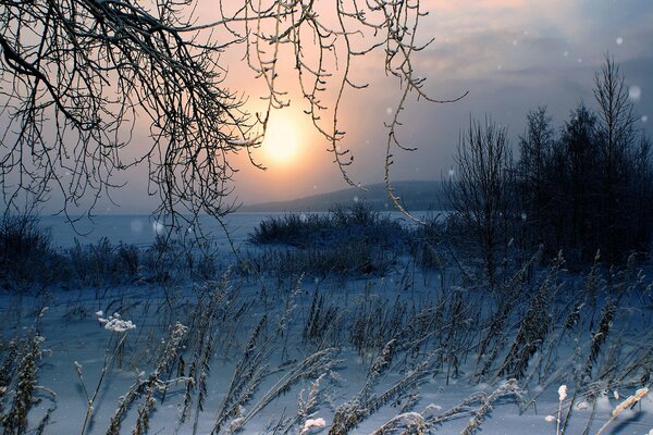 Природа зимой снег и солнце