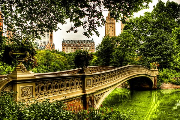 Piękny most na rzece otoczony zielenią