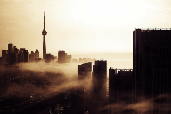 The buildings of the city in the fog against the light sky