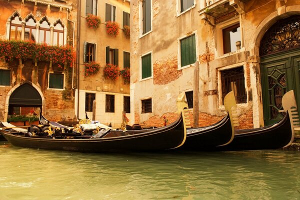 Gondolas in Venice. Houses and windows with flowers of Italy