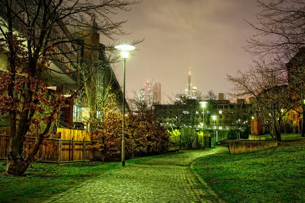 Night street illuminated by lanterns