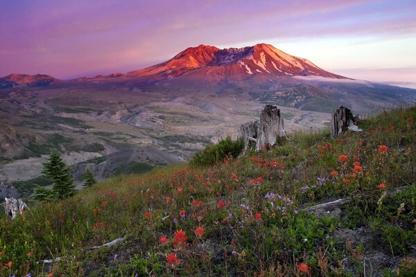 Bellissimo paesaggio, tramonto e montagne