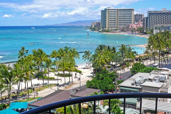 Sunny beach with palm trees in Hawaii