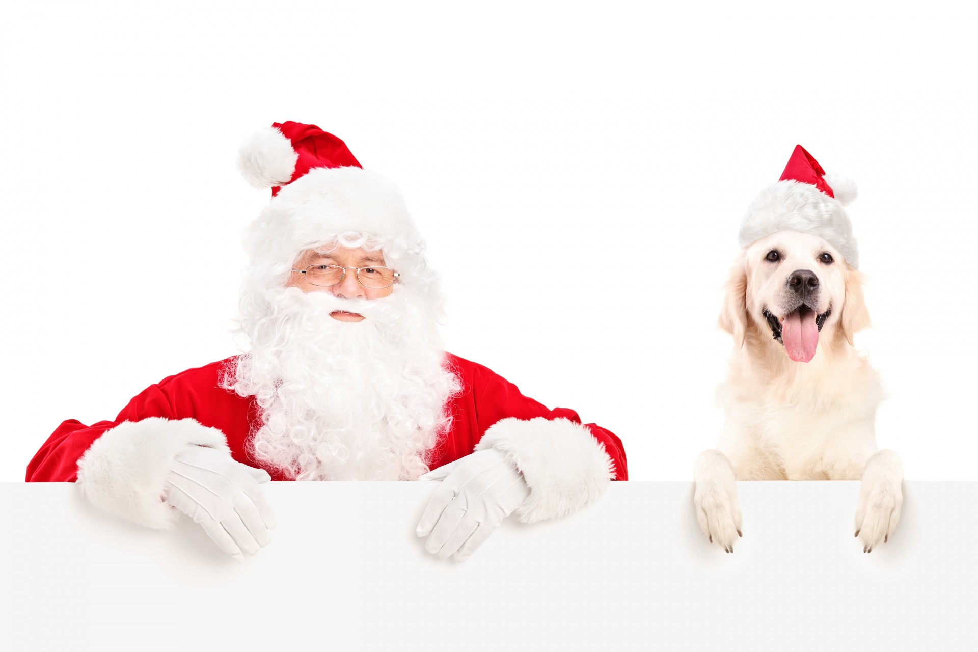 father christmas uniforms dog