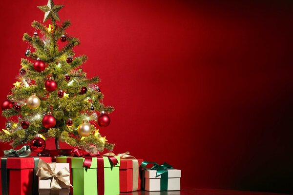 L albero di Natale è bello per tutti i bambini