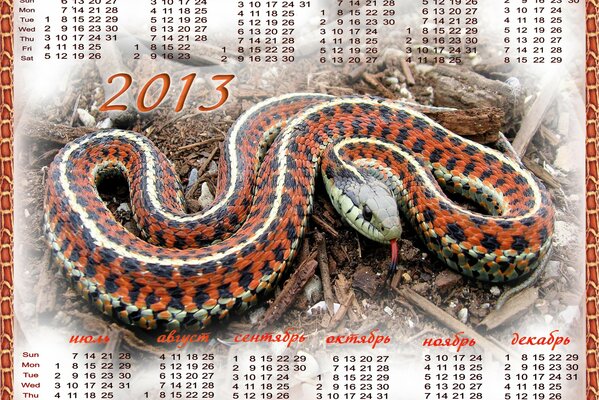 Calendario para el año nuevo de la serpiente