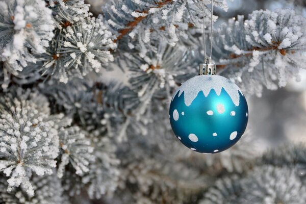 Blue Christmas ball on a snow-covered Christmas tree
