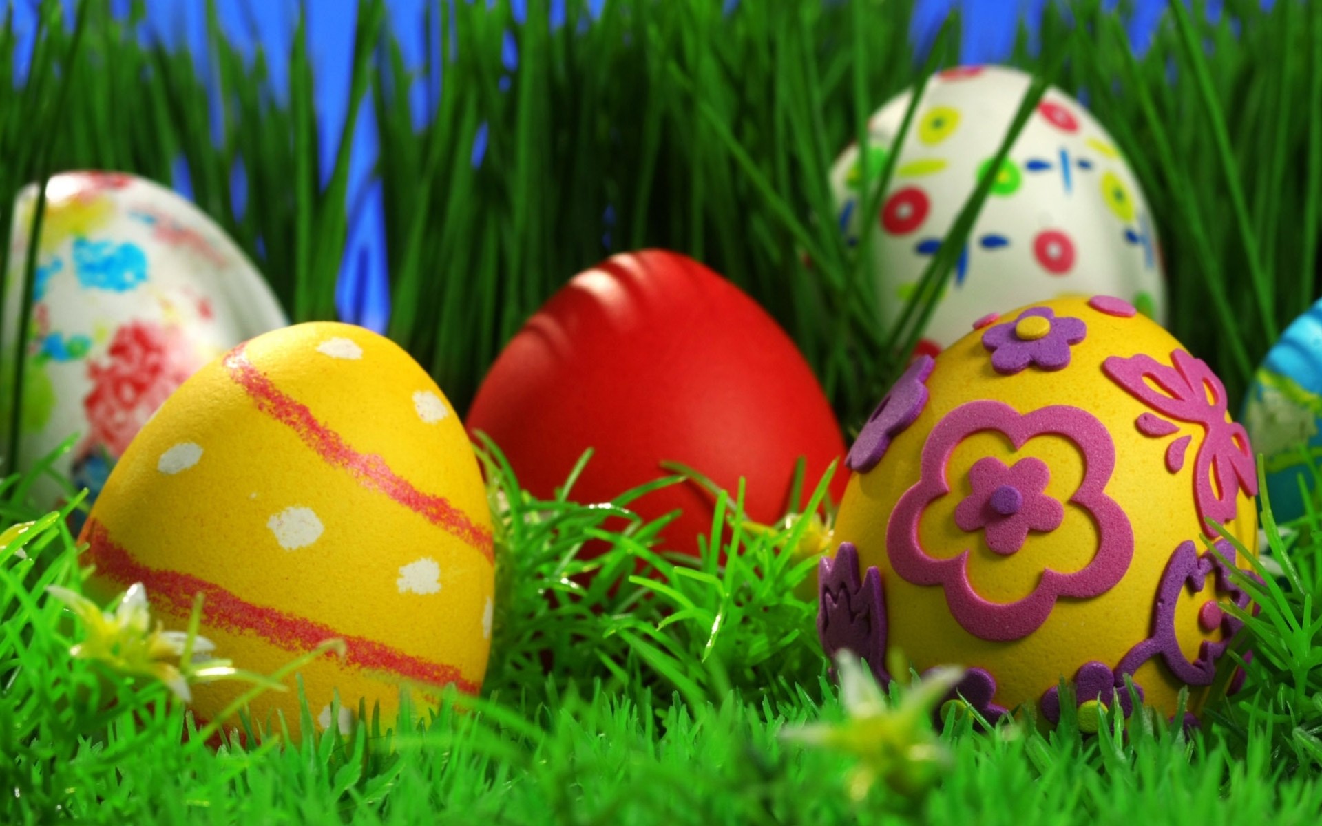 pasqua vacanze erba uova di pasqua modelli