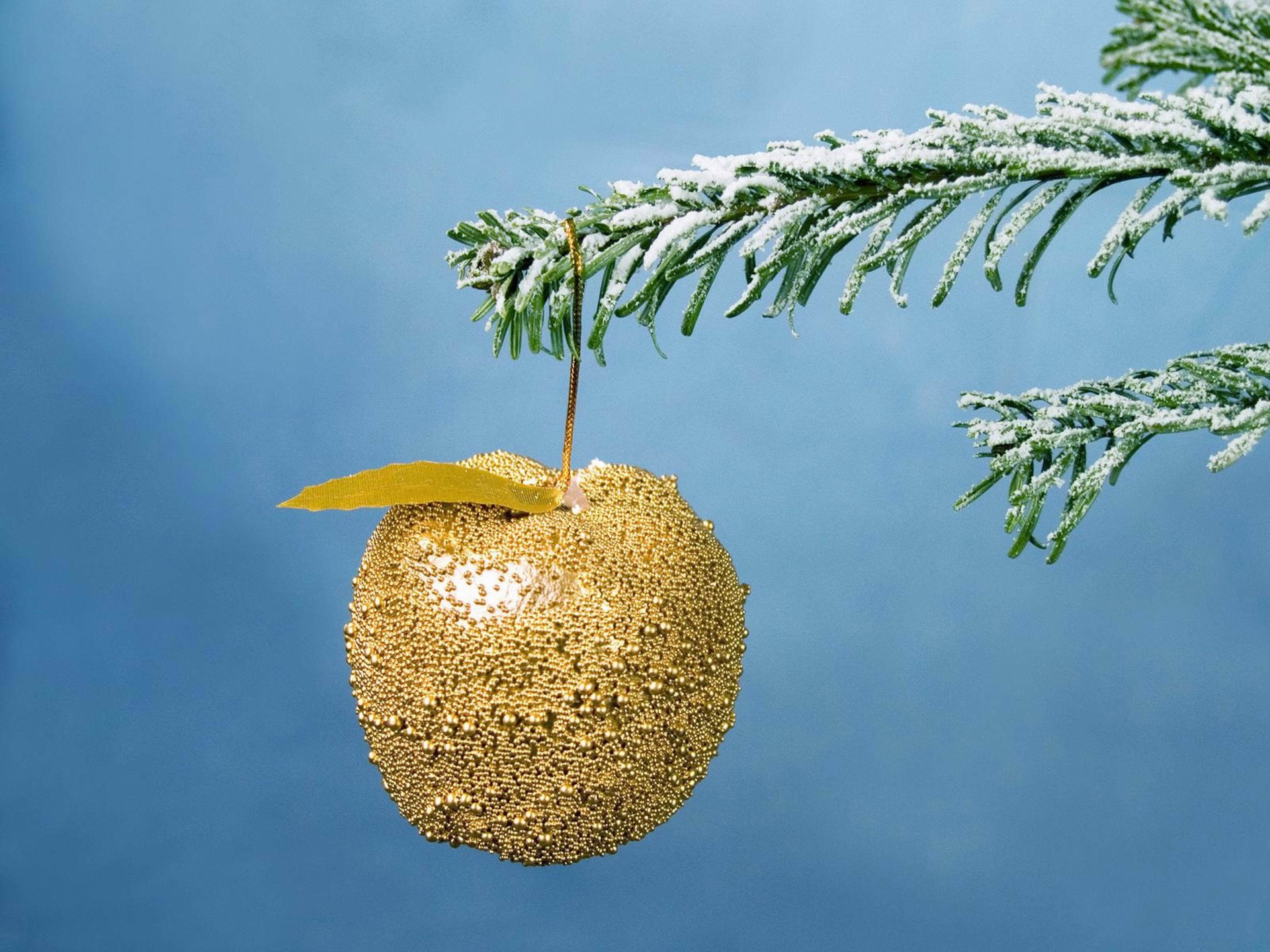 christmas new year apple holiday gold spruce branch