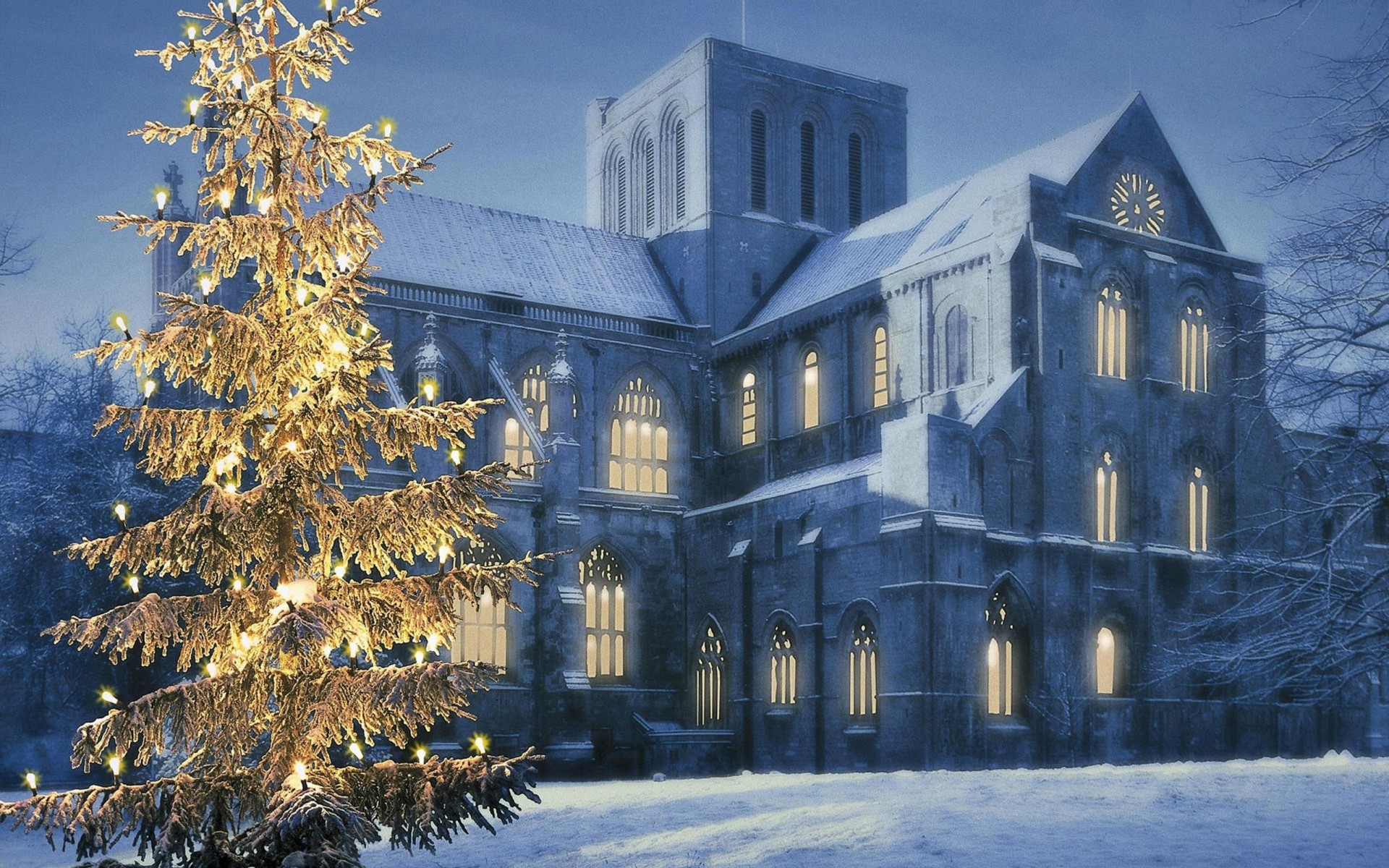 albero di natale luci cattedrale capodanno vacanza ghirlanda neve