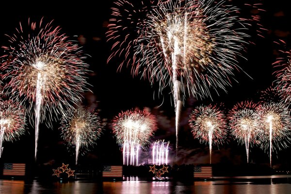 Fuegos artificiales de noche mágicamente hermosos