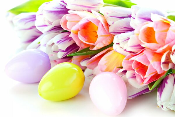 Schöne Tulpen und Eier in zarten Farben gefärbt