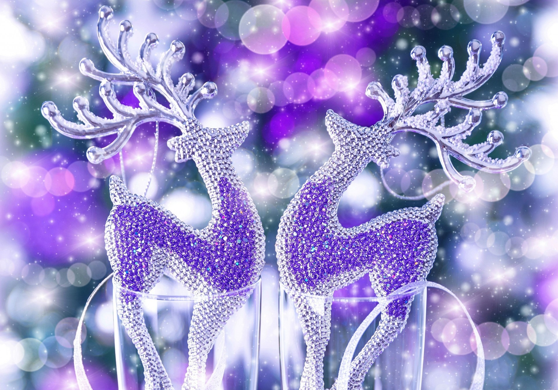 reindeer reflections figure