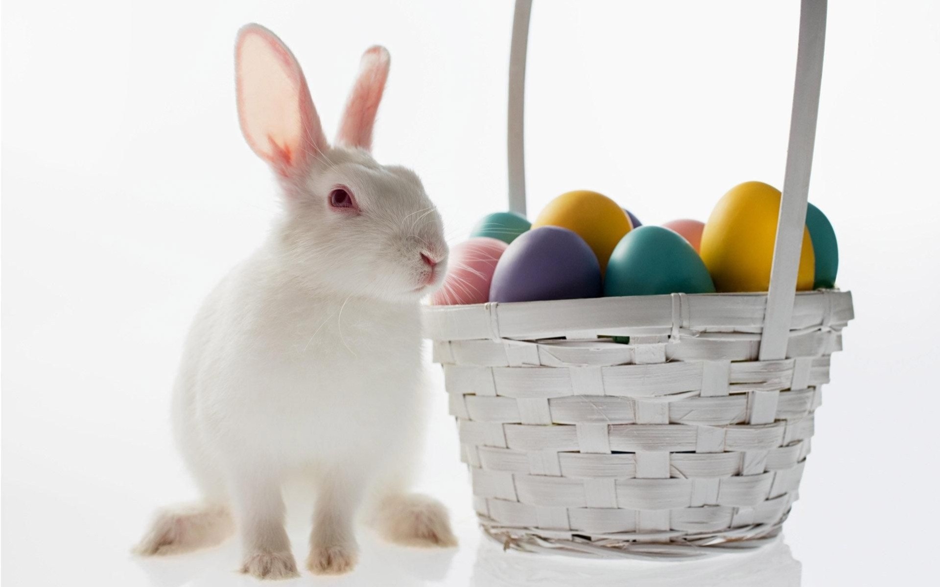 ostern ostereier einkaufen hase buntstifte