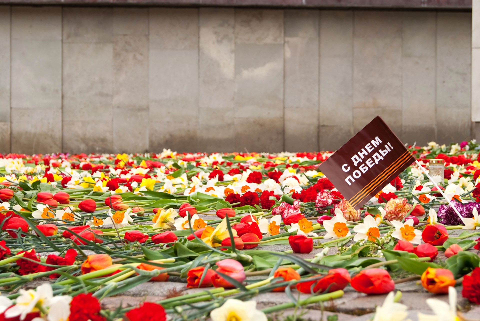 tag des sieges ewig feiertag erinnerung blumen