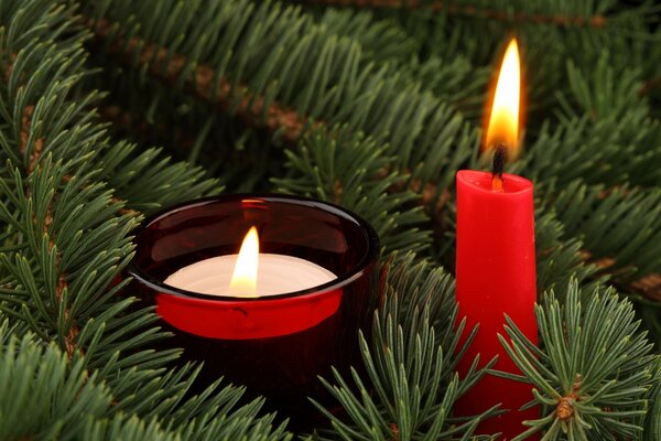 Christmas candles in fir branches